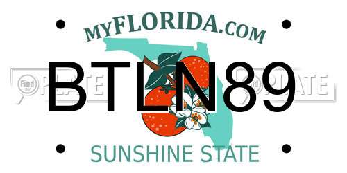 BTLN89 Florida License Plate