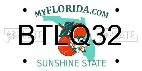 BTLQ32 Florida License Plate
