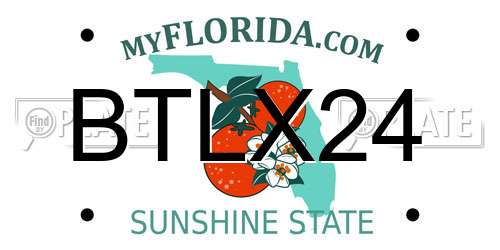 BTLX24 Florida License Plate