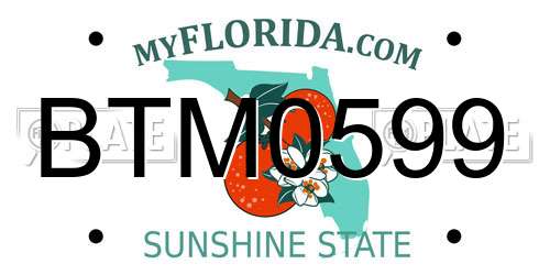 BTM0599 Florida License Plate