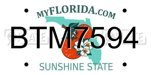 BTM7594 Florida License Plate