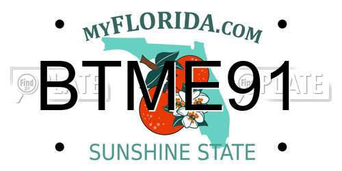BTME91 Florida License Plate