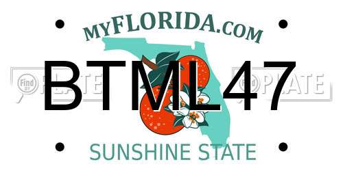 BTML47 Florida License Plate