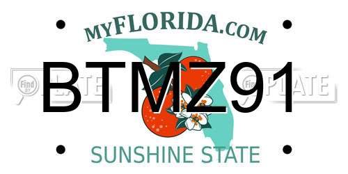 BTMZ91 Florida License Plate