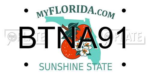 BTNA91 Florida License Plate