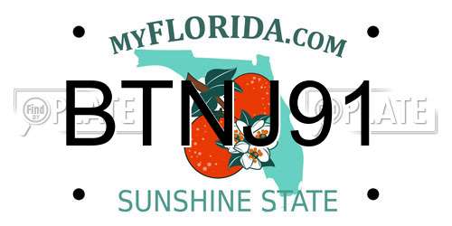 BTNJ91 Florida License Plate