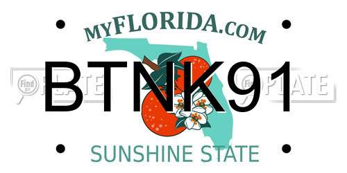 BTNK91 Florida License Plate