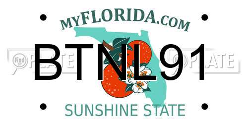 BTNL91 Florida License Plate