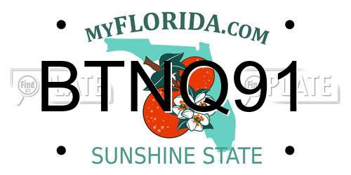 BTNQ91 Florida License Plate