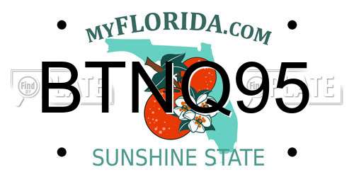 BTNQ95 Florida License Plate