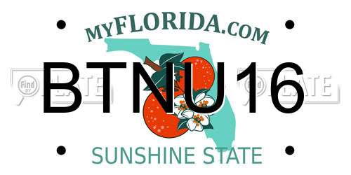 BTNU16 Florida License Plate
