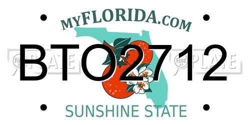 BTO2712 Florida License Plate