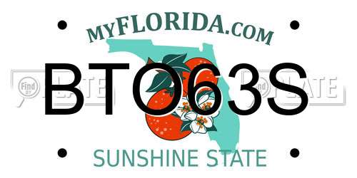 BTO63S Florida License Plate