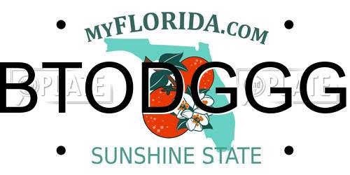 BTODGGG Florida License Plate
