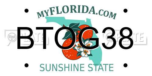 BTOG38 Florida License Plate