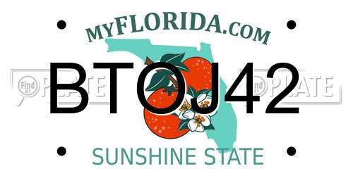 BTOJ42 Florida License Plate
