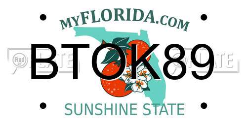 BTOK89 Florida License Plate