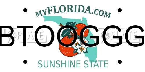 BTOOGGG Florida License Plate