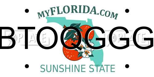 BTOQGGG Florida License Plate