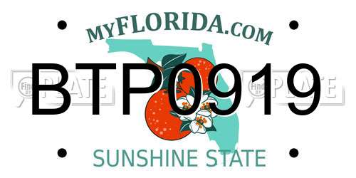 BTP0919 Florida License Plate