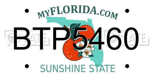 BTP5460 Florida License Plate