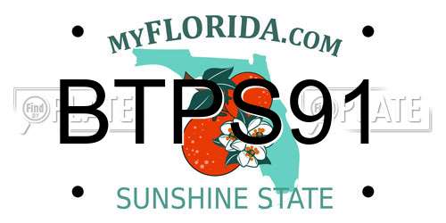 BTPS91 Florida License Plate