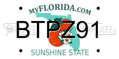 BTPZ91 Florida License Plate
