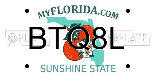 BTQ8L Florida License Plate