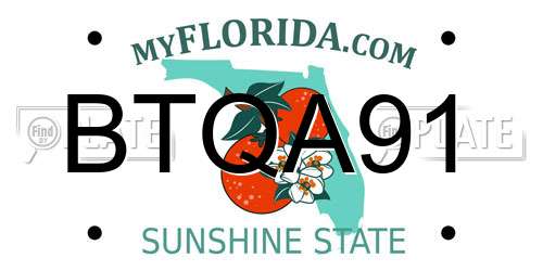 BTQA91 Florida License Plate