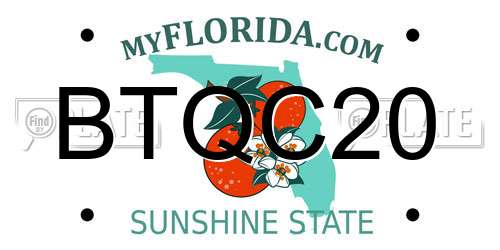 BTQC20 Florida License Plate