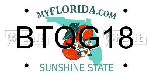 BTQG18 Florida License Plate