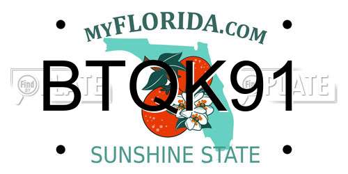 BTQK91 Florida License Plate
