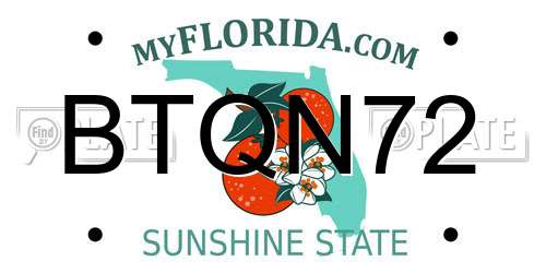BTQN72 Florida License Plate