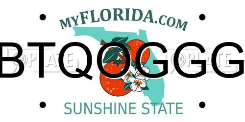 BTQOGGG Florida License Plate