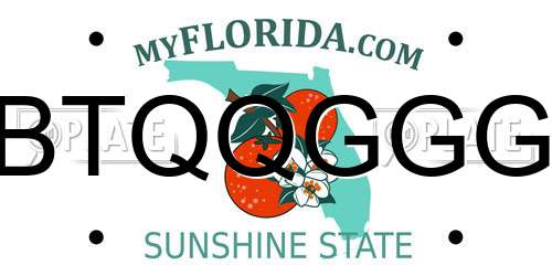BTQQGGG Florida License Plate