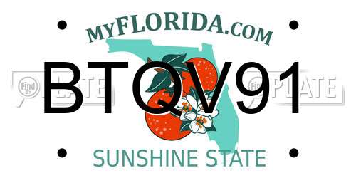 BTQV91 Florida License Plate