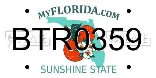 BTR0359 Florida License Plate