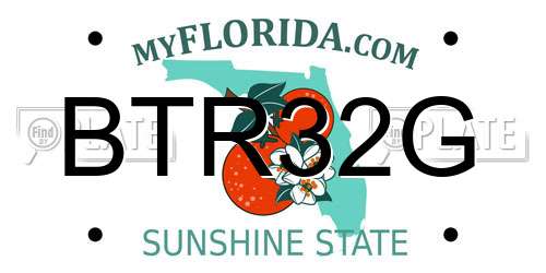 BTR32G Florida License Plate