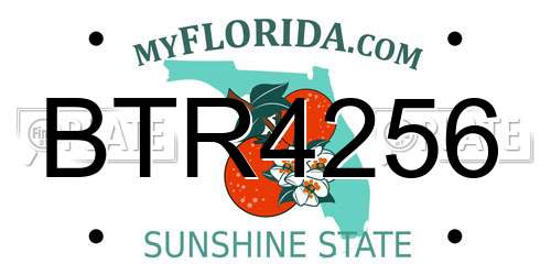 BTR4256 Florida License Plate