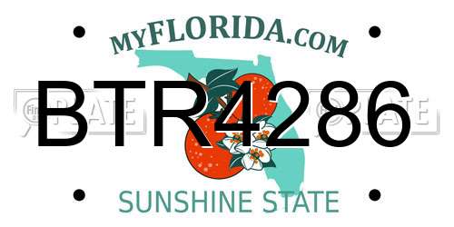 BTR4286 Florida License Plate