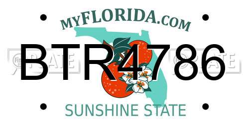 BTR4786 Florida License Plate