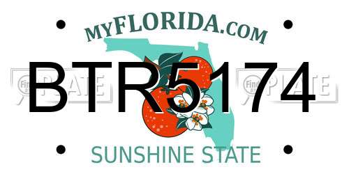 BTR5174 Florida License Plate