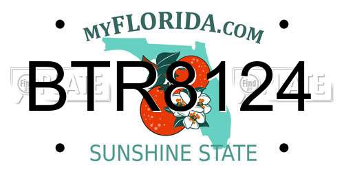 BTR8124 Florida License Plate