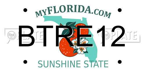 BTRE12 Florida License Plate