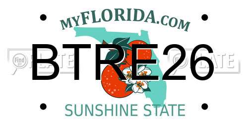 BTRE26 Florida License Plate