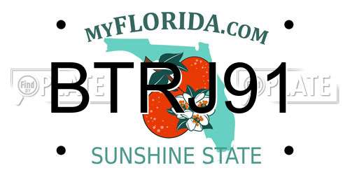 BTRJ91 Florida License Plate