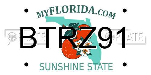 BTRZ91 Florida License Plate
