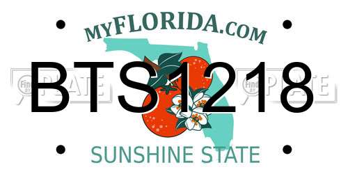BTS1218 Florida License Plate
