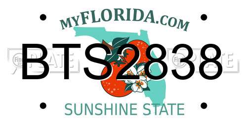 BTS2838 Florida License Plate