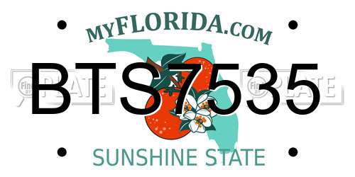 BTS7535 Florida License Plate